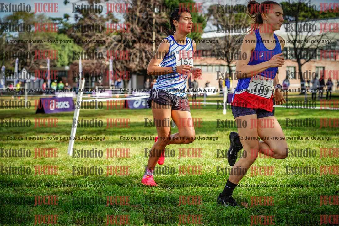 Fotos en el circuito