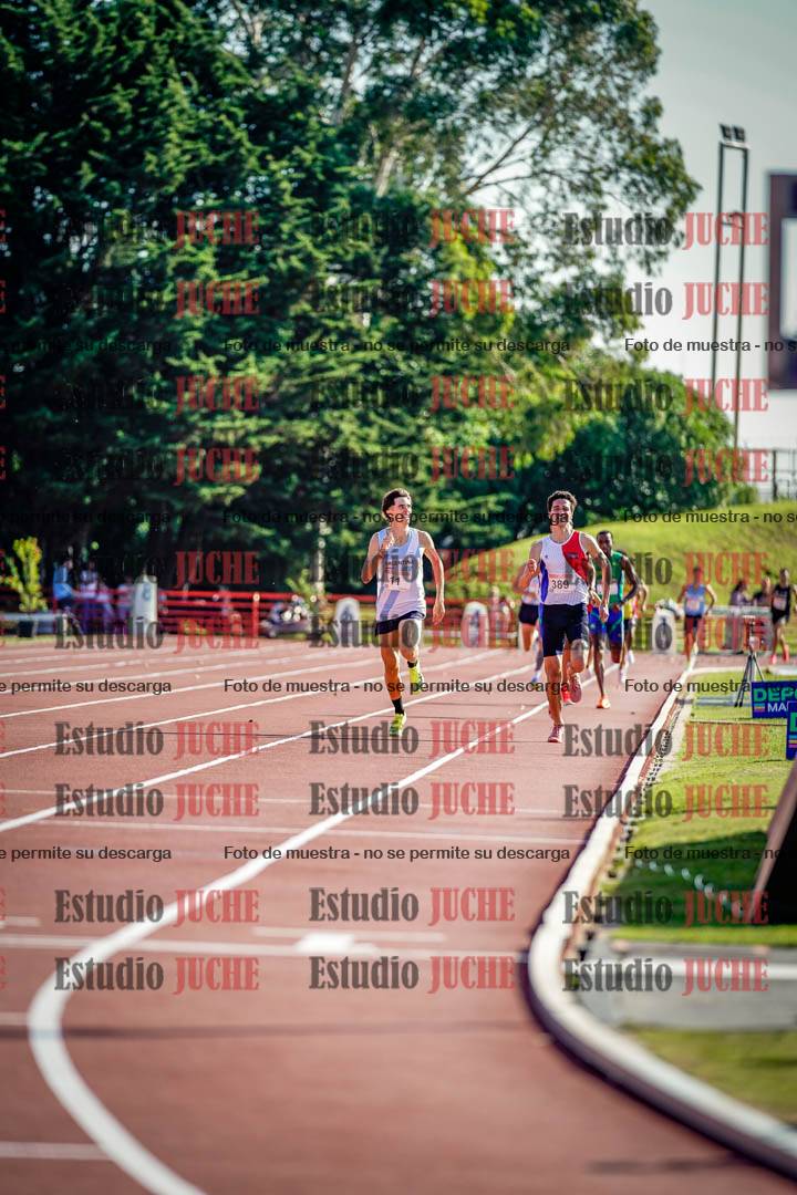 Fotos de los 1500 m llanos de varones