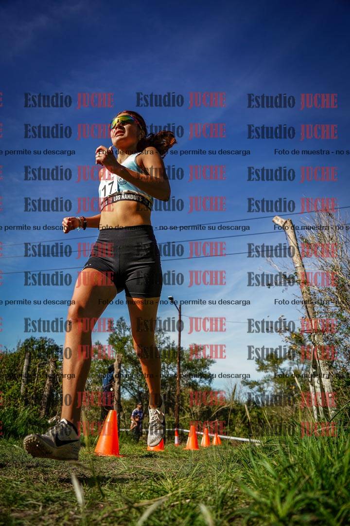 Fotos en el circuito
