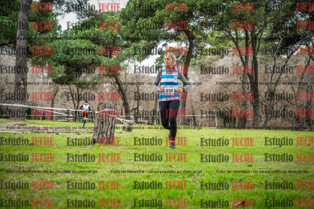Fotos en el circuito