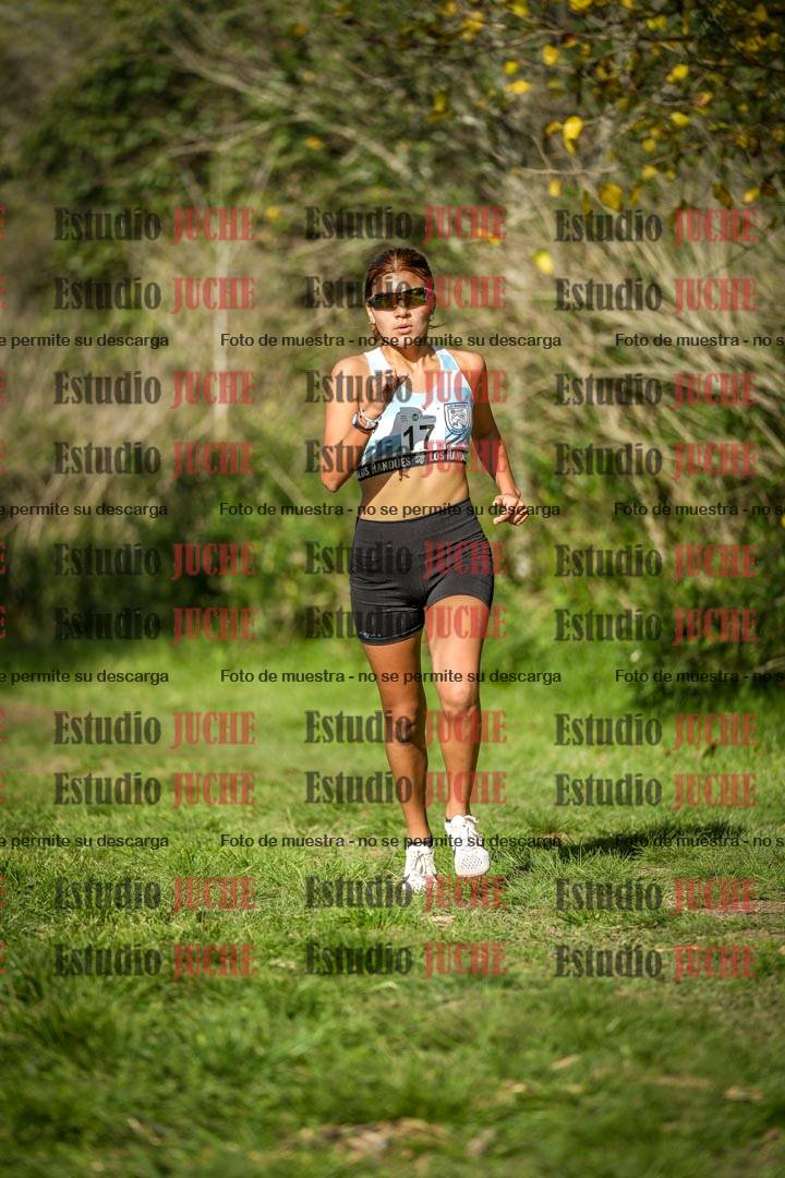 Fotos en el circuito