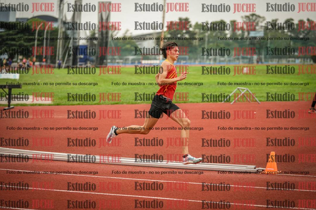 Fotos de los 800 m llanos de varones