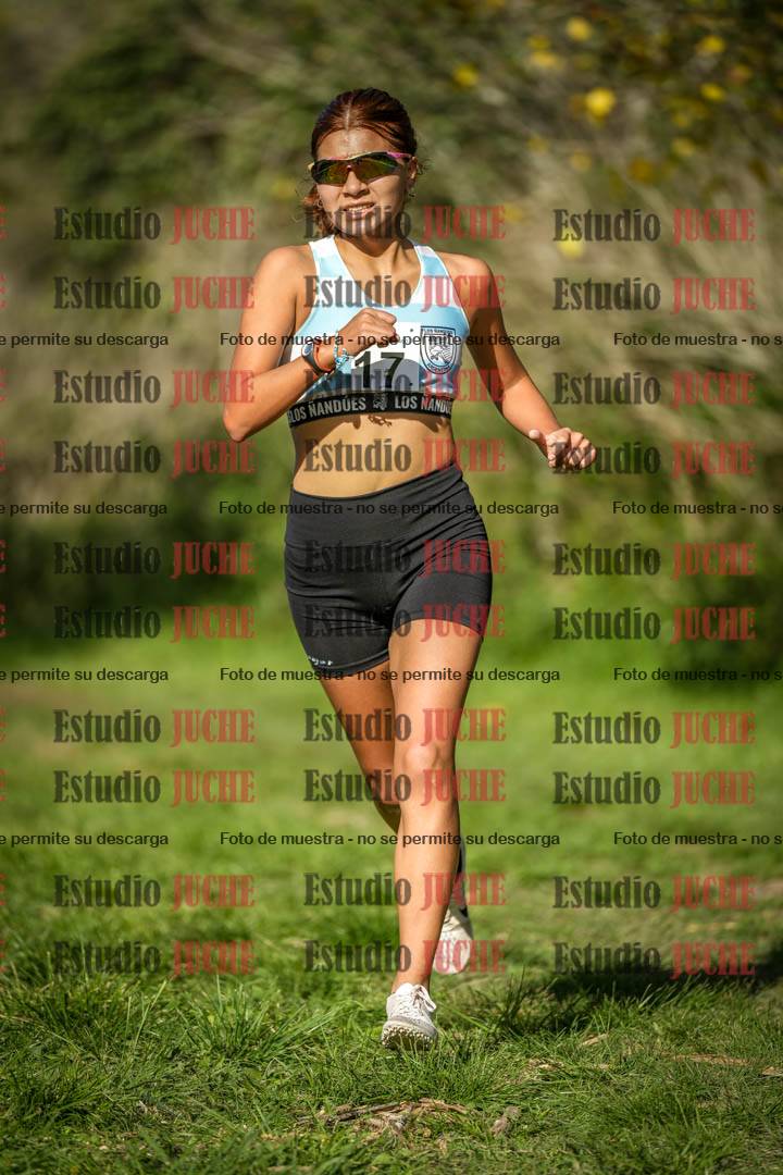 Fotos en el circuito