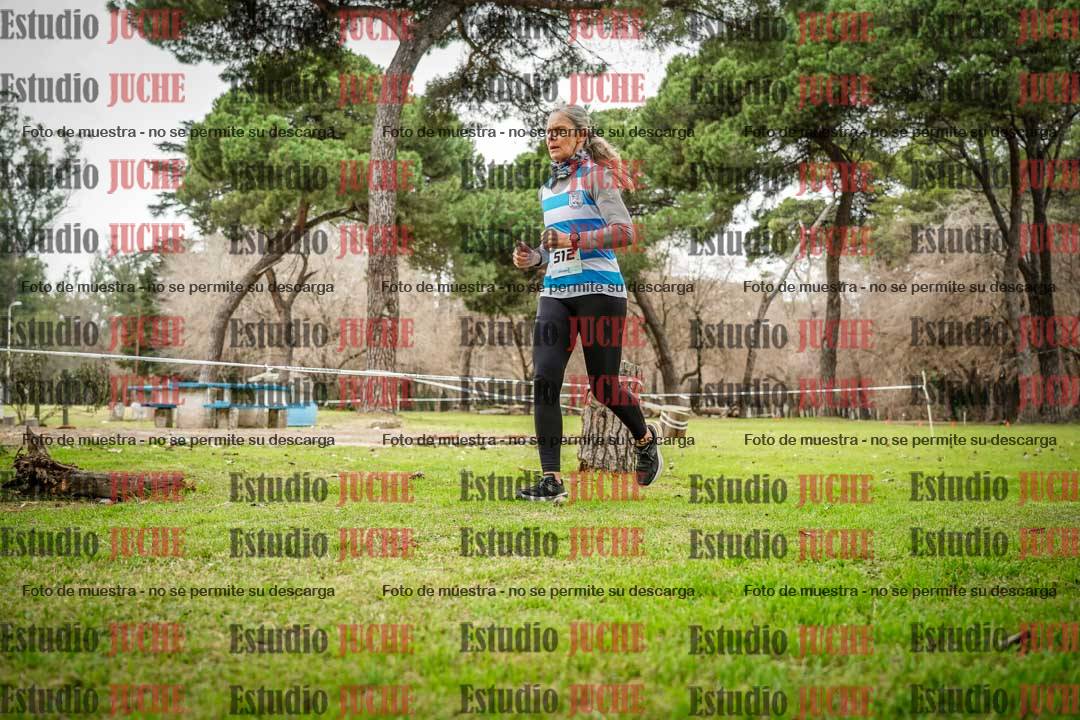 Fotos en el circuito