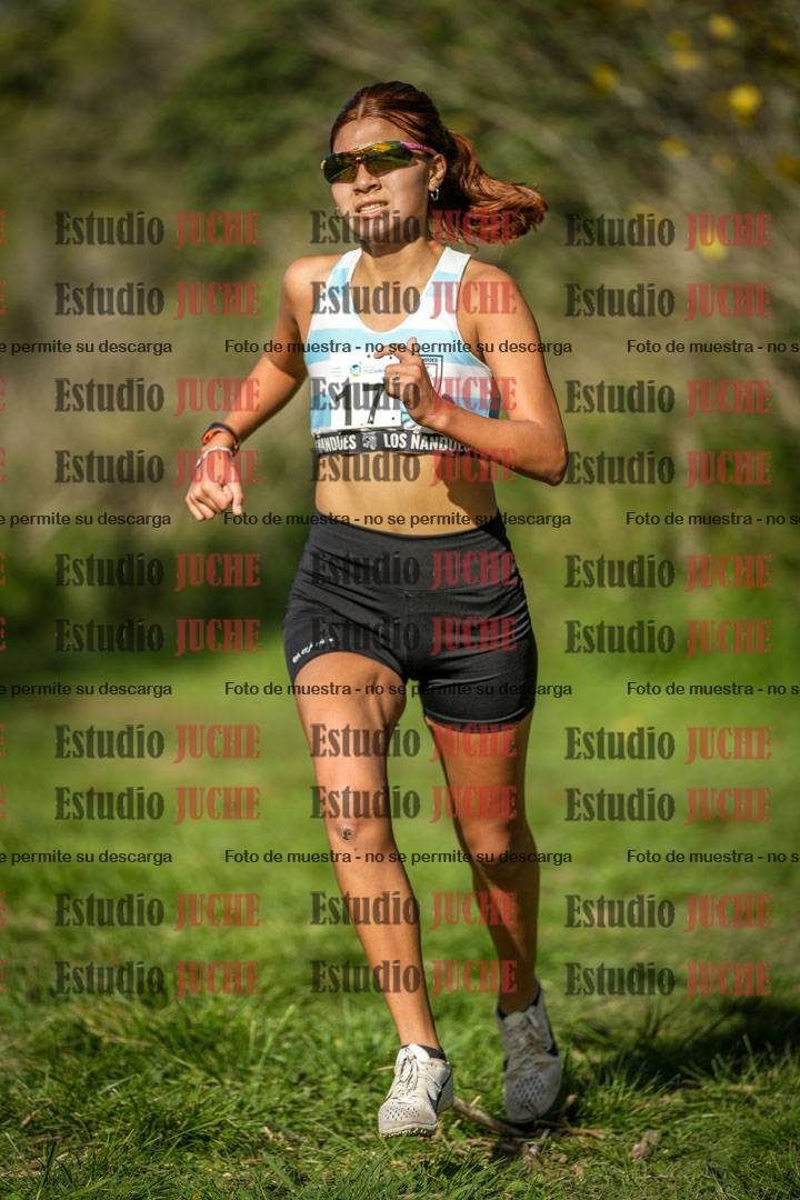 Fotos en el circuito