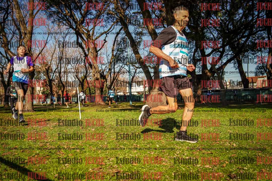 Fotos en el circuito