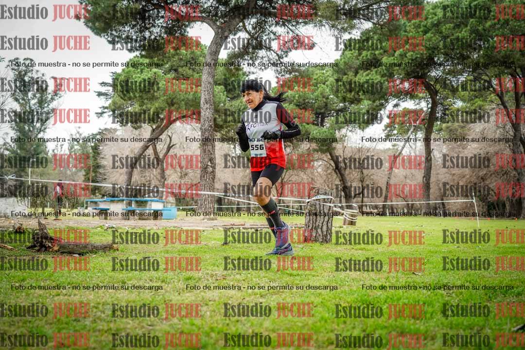 Fotos en el circuito