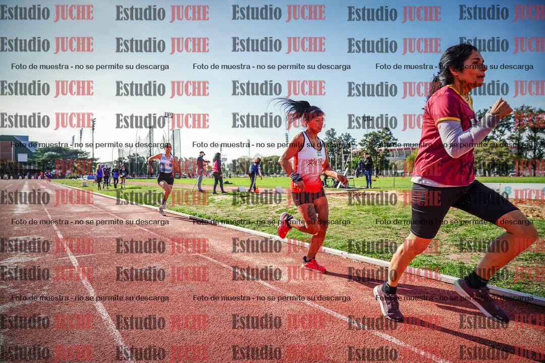 Fotos de los 800 m llanos de mujeres