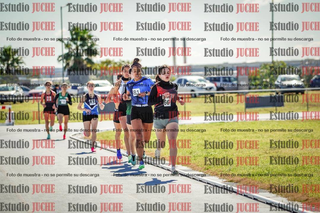 Fotos de los 800 m llanos de mujeres