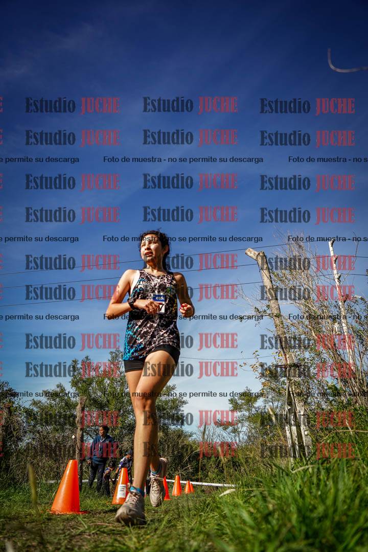 Fotos en el circuito