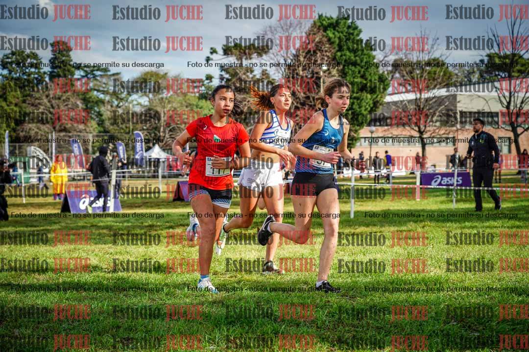 Fotos en el circuito