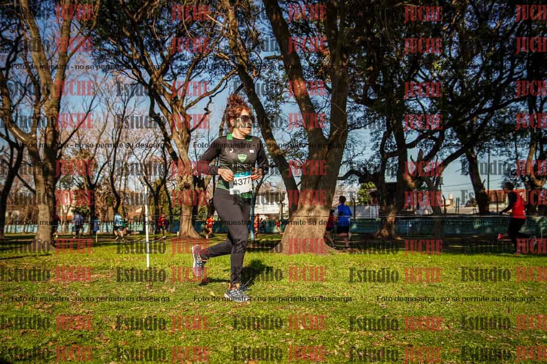 Fotos en el circuito