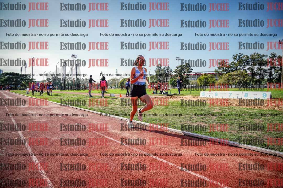 Fotos de los 800 m llanos de mujeres