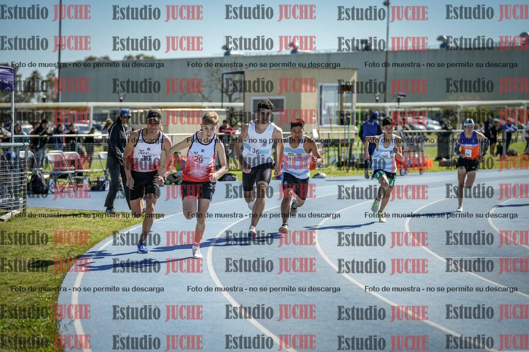 Fotos de los 800 m llanos de varones