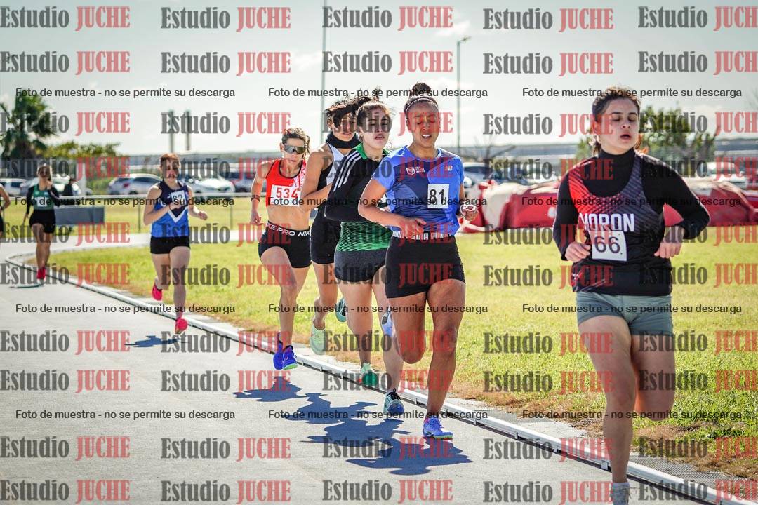 Fotos de los 800 m llanos de mujeres
