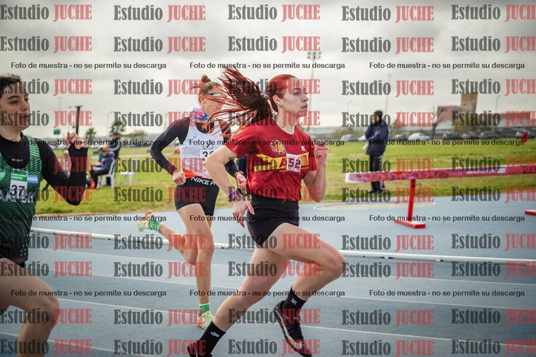 Fotos de los 800 m llanos de mujeres