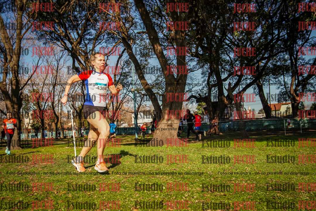 Fotos en el circuito