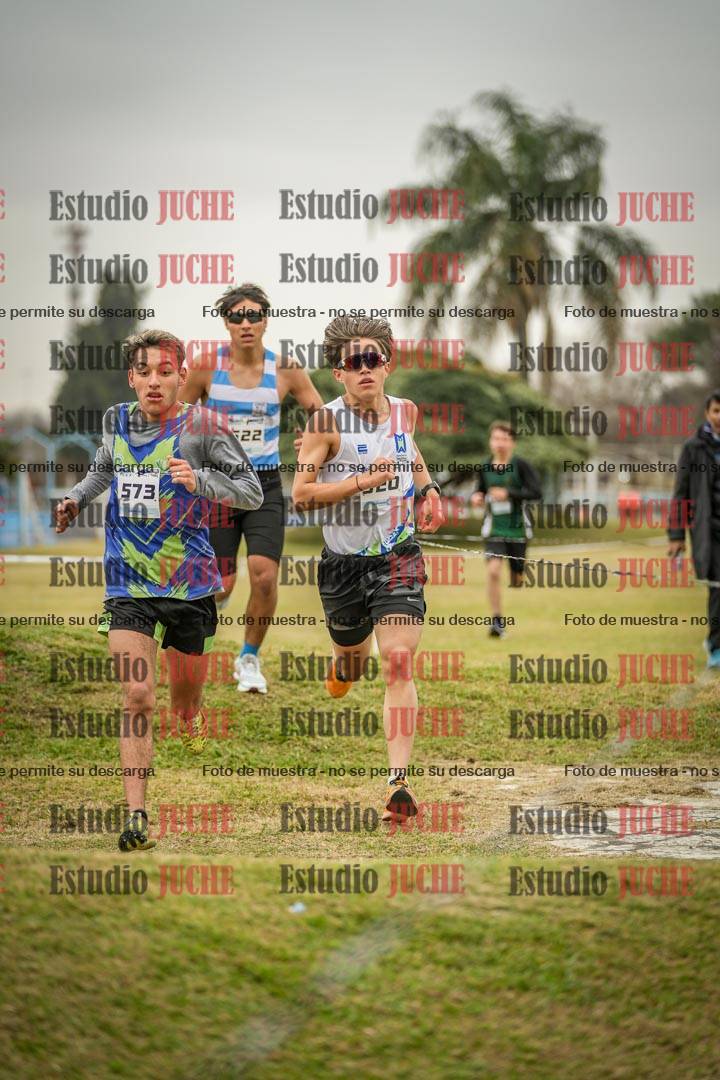 Fotos en el circuito