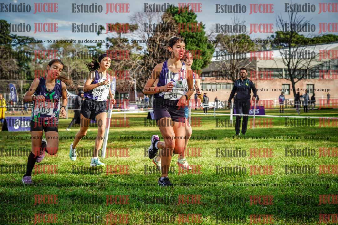 Fotos en el circuito
