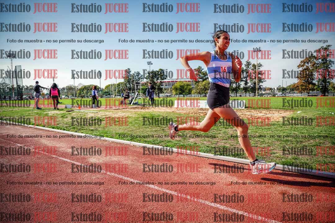 Fotos de los 800 m llanos de mujeres