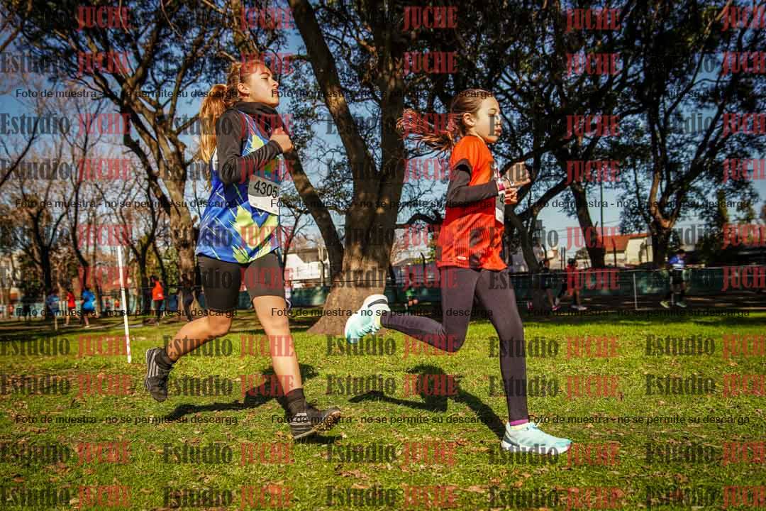 Fotos en el circuito