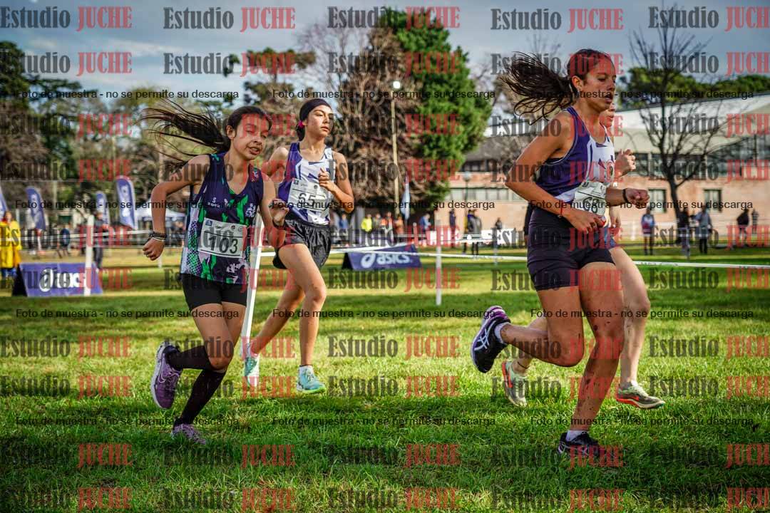 Fotos en el circuito