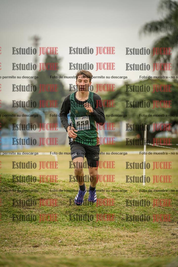 Fotos en el circuito