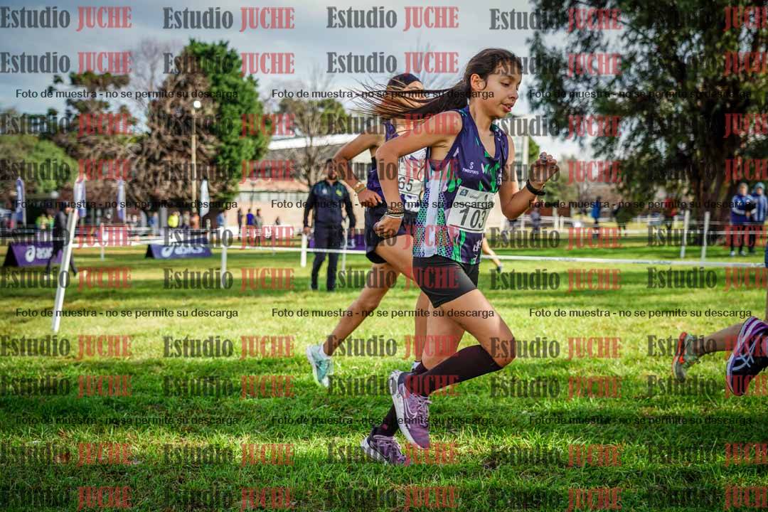 Fotos en el circuito