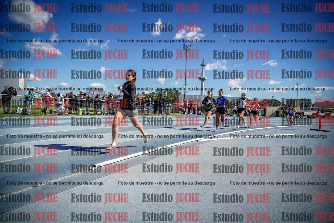 Fotos de los 800 m llanos de mujeres