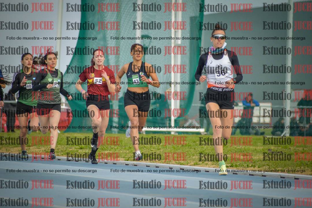 Fotos de los 800 m llanos de mujeres