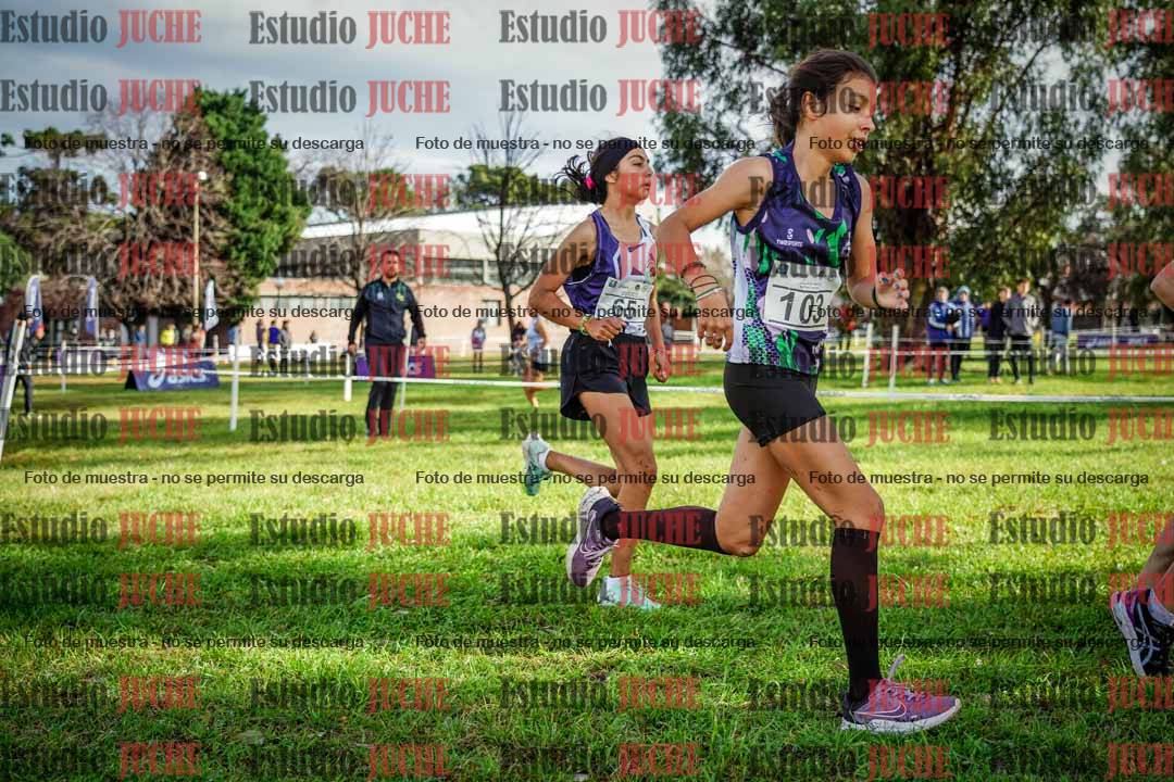 Fotos en el circuito