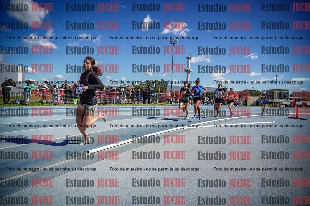 Fotos de los 800 m llanos de mujeres