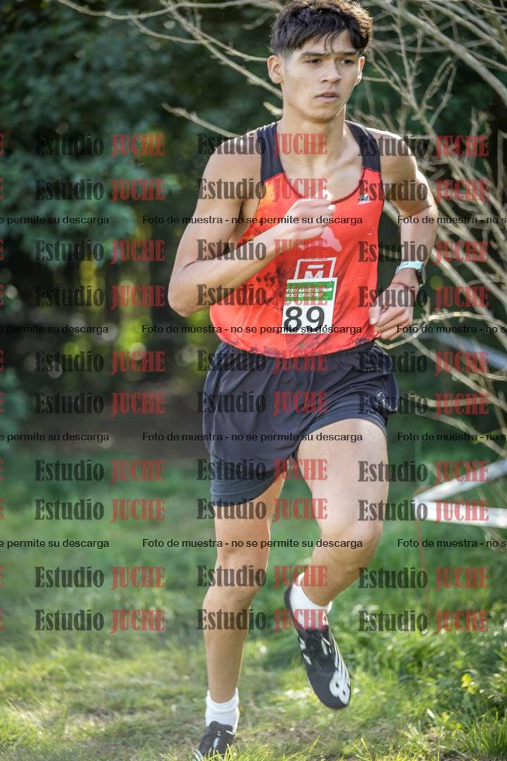 Fotos en el circuito