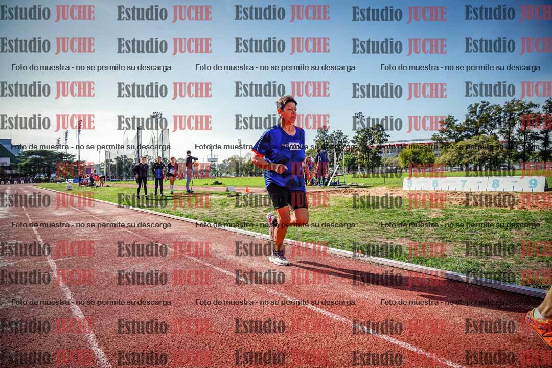 Fotos de los 800 m llanos de mujeres