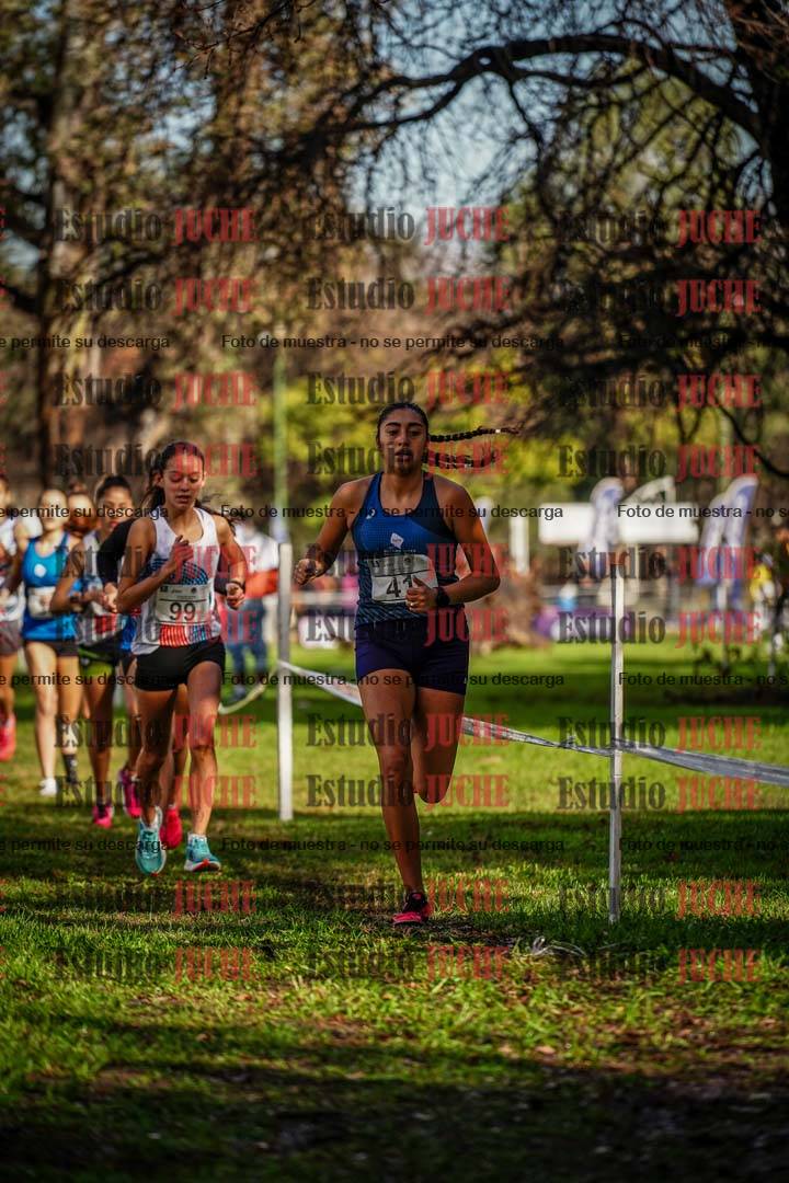 Fotos en el circuito