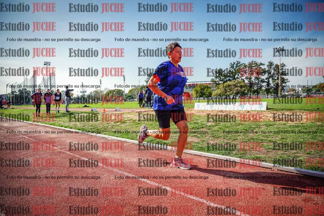 Fotos de los 800 m llanos de mujeres