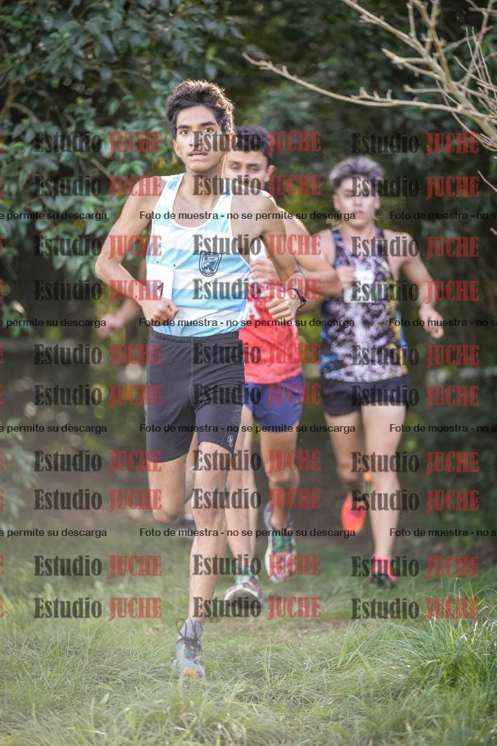 Fotos en el circuito