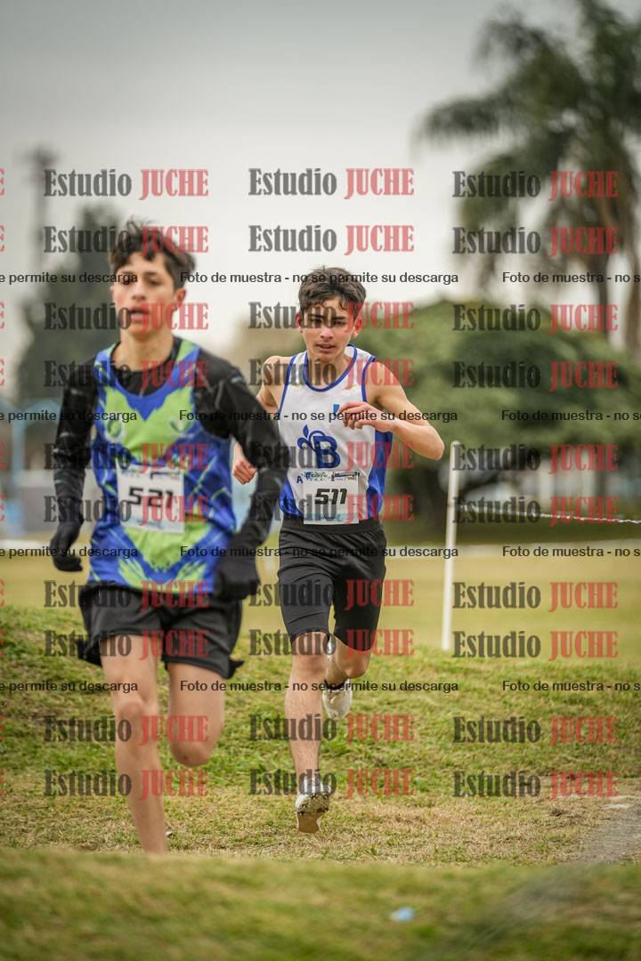 Fotos en el circuito