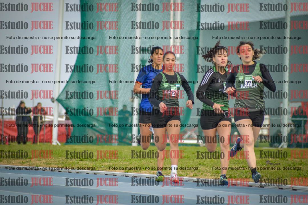 Fotos de los 800 m llanos de mujeres