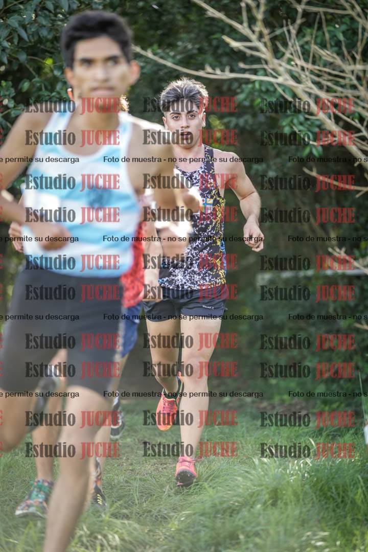 Fotos en el circuito
