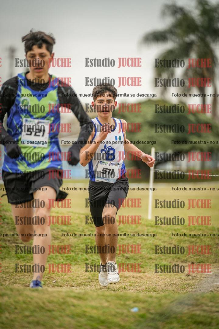 Fotos en el circuito