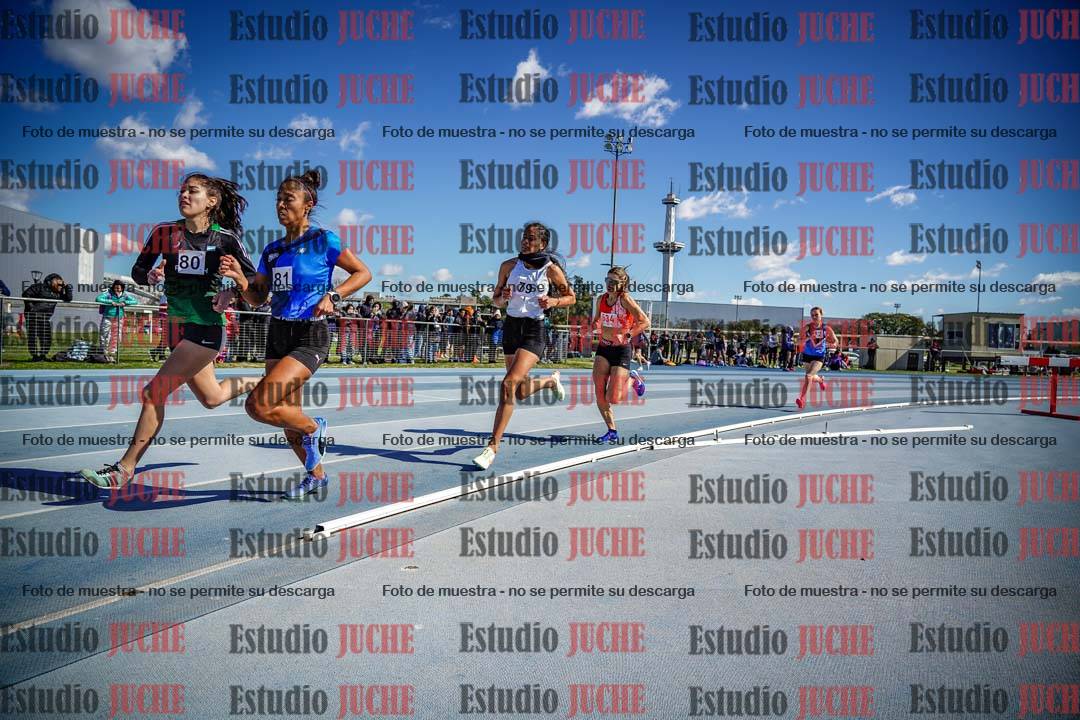 Fotos de los 800 m llanos de mujeres