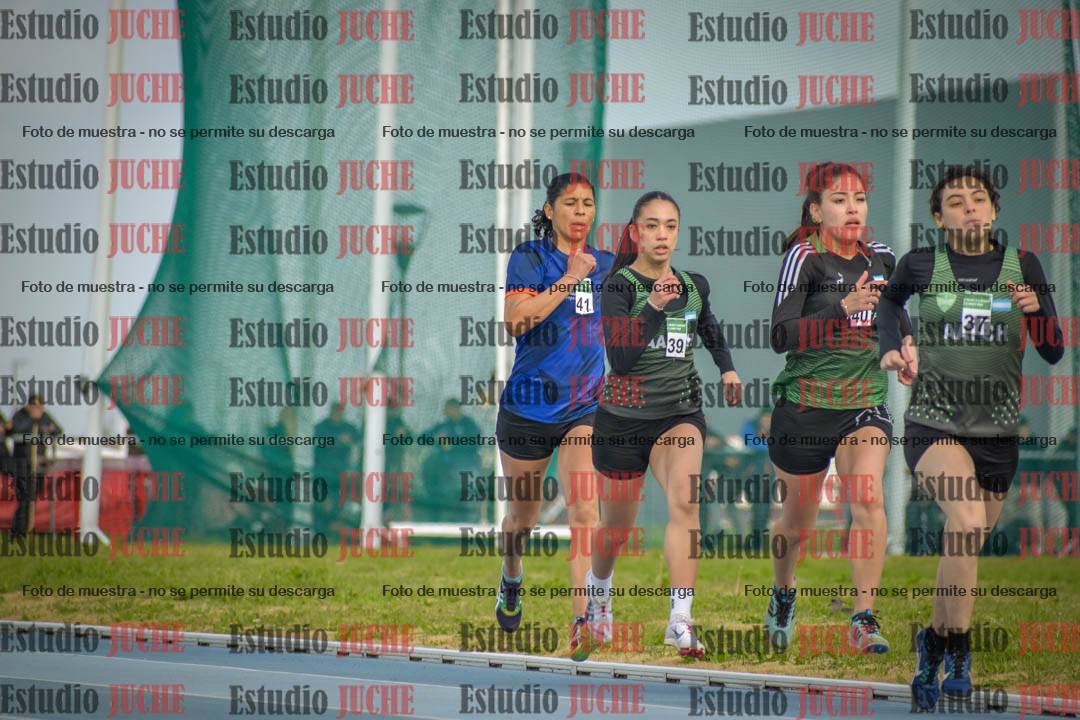 Fotos de los 800 m llanos de mujeres