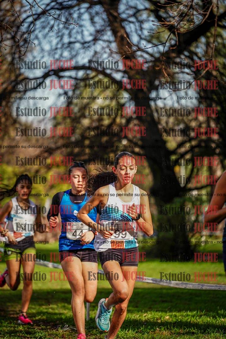 Fotos en el circuito