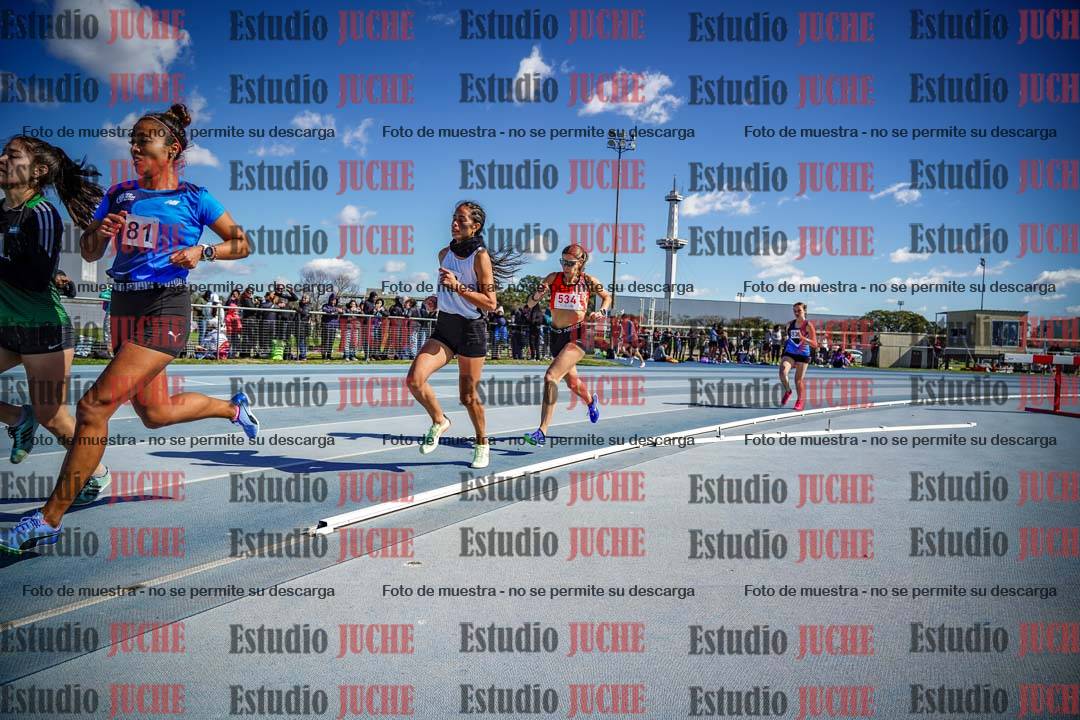 Fotos de los 800 m llanos de mujeres
