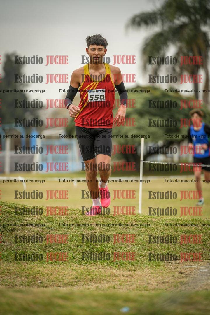 Fotos en el circuito