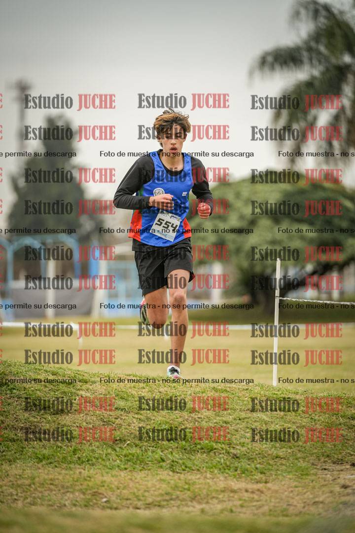Fotos en el circuito