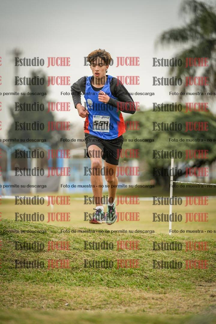 Fotos en el circuito