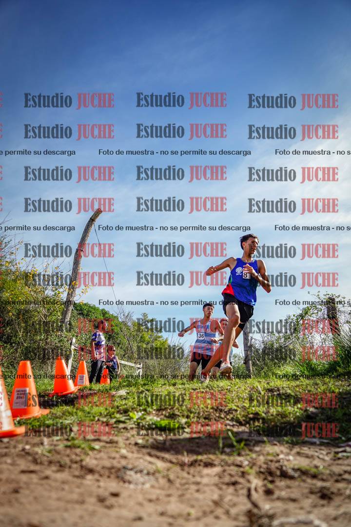 Fotos en el circuito