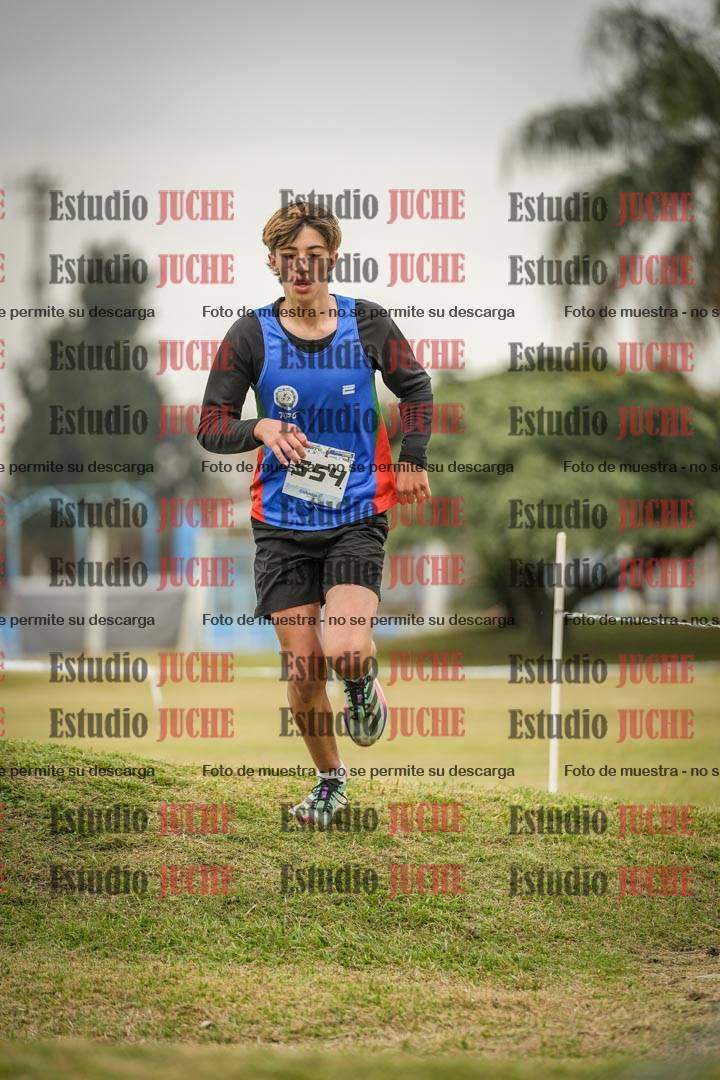 Fotos en el circuito
